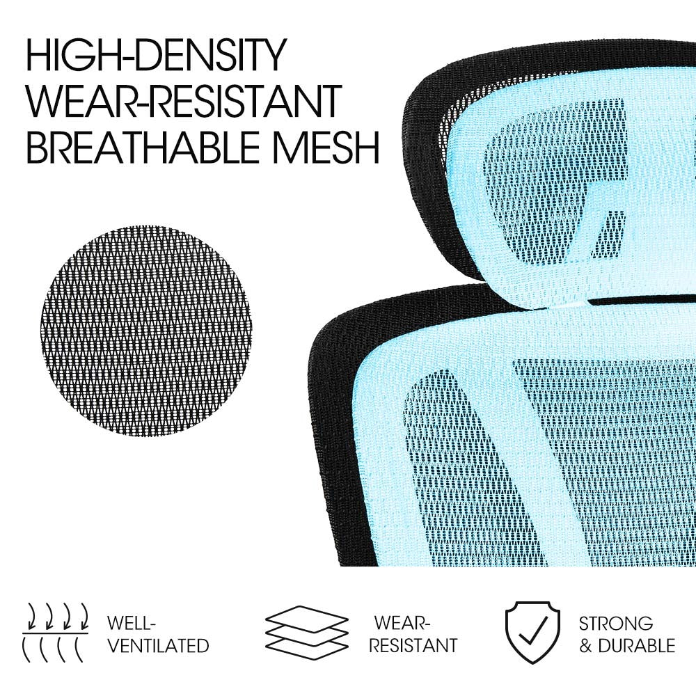 Fortia Ergonomic Office Desk Chair - Black Mesh