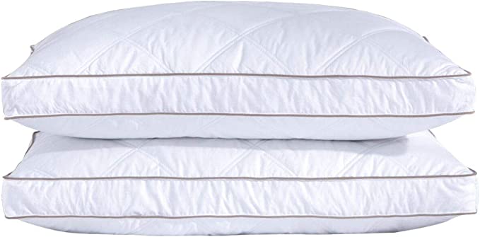 Premium King Size Pillows with Free Cases