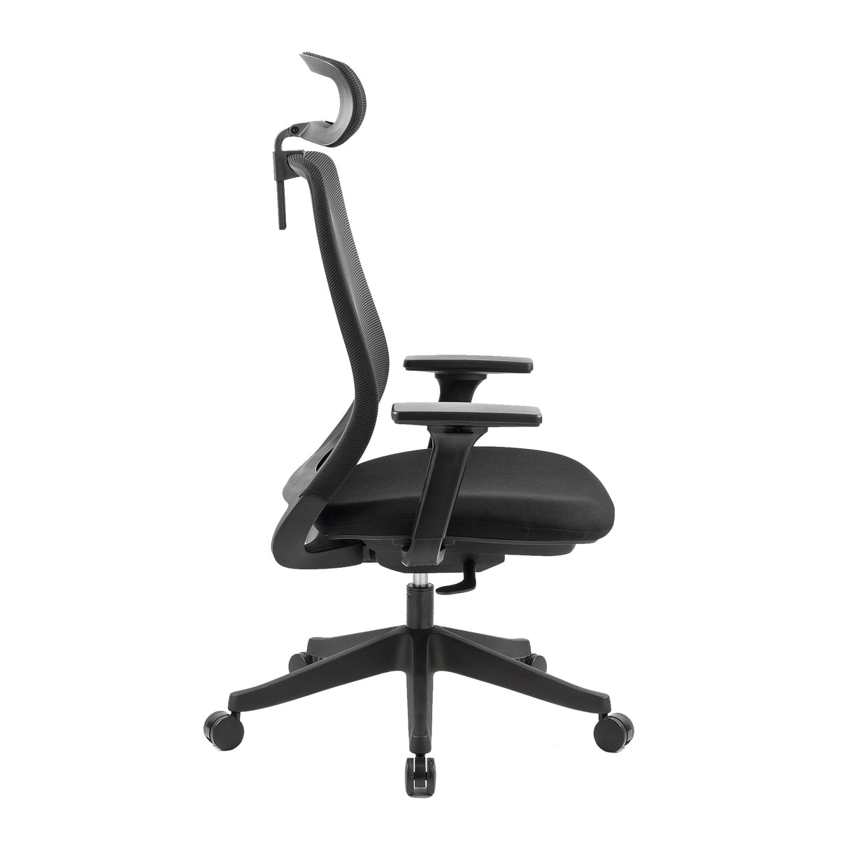 Carlie Ergonomic High Back Office Chair