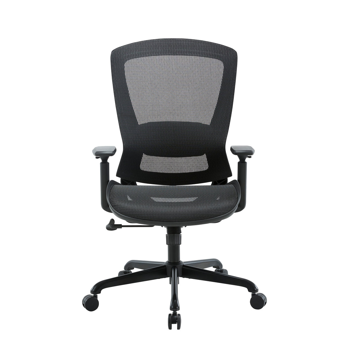 Daisey Ergonomic Mesh Task Chair