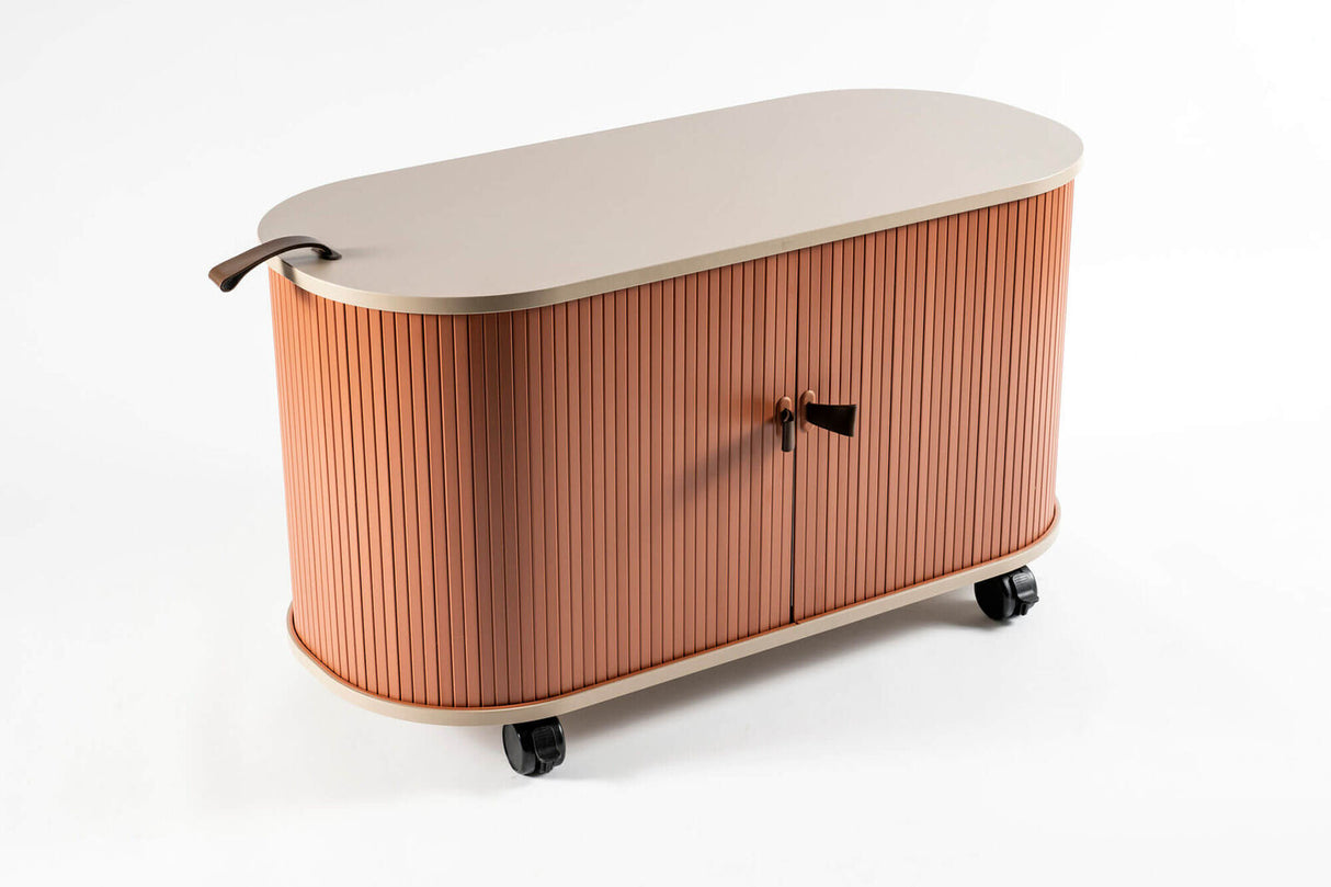 Mobile Roller Shutter Cabinet with Adjustable Shelves