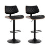 Elegant Adjustable Bar Stools - Set of 2