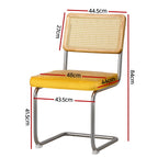 Velvet Rattan Cantilever Dining Chair Set