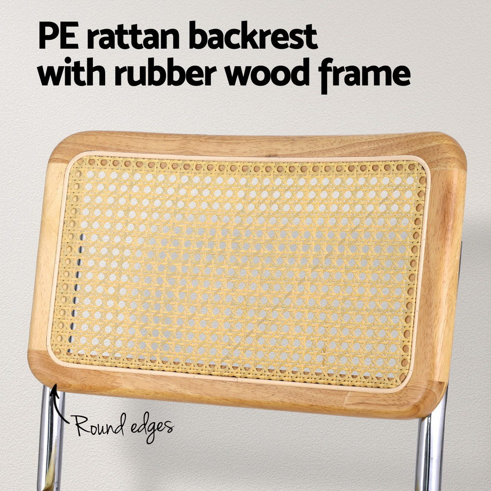 Velvet Rattan Cantilever Dining Chair Set