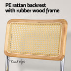 Velvet Rattan Cantilever Dining Chair Set