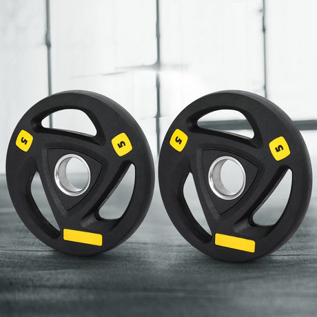 Everfit Weight Plates Olympic 5kgx2 Dumbbells Barbells Plate Weight Lifting Home