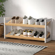 Elegant 2-Tier Shoe Rack for Stylish Storage
