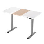 Artiss Motorised Electric Sit-Stand Desk