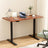 Artiss Dual Motor Electric Height Adjustable Desk