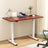Artiss Dual Motor Height Adjustable Desk