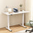 Artiss Dual Motor Height Adjustable Desk