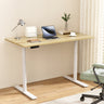 Artiss Motorised Height Adjustable Standing Desk