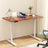 Artiss Dual Motor Sit-Stand Desk