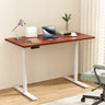 Artiss Dual Motor Sit-Stand Desk