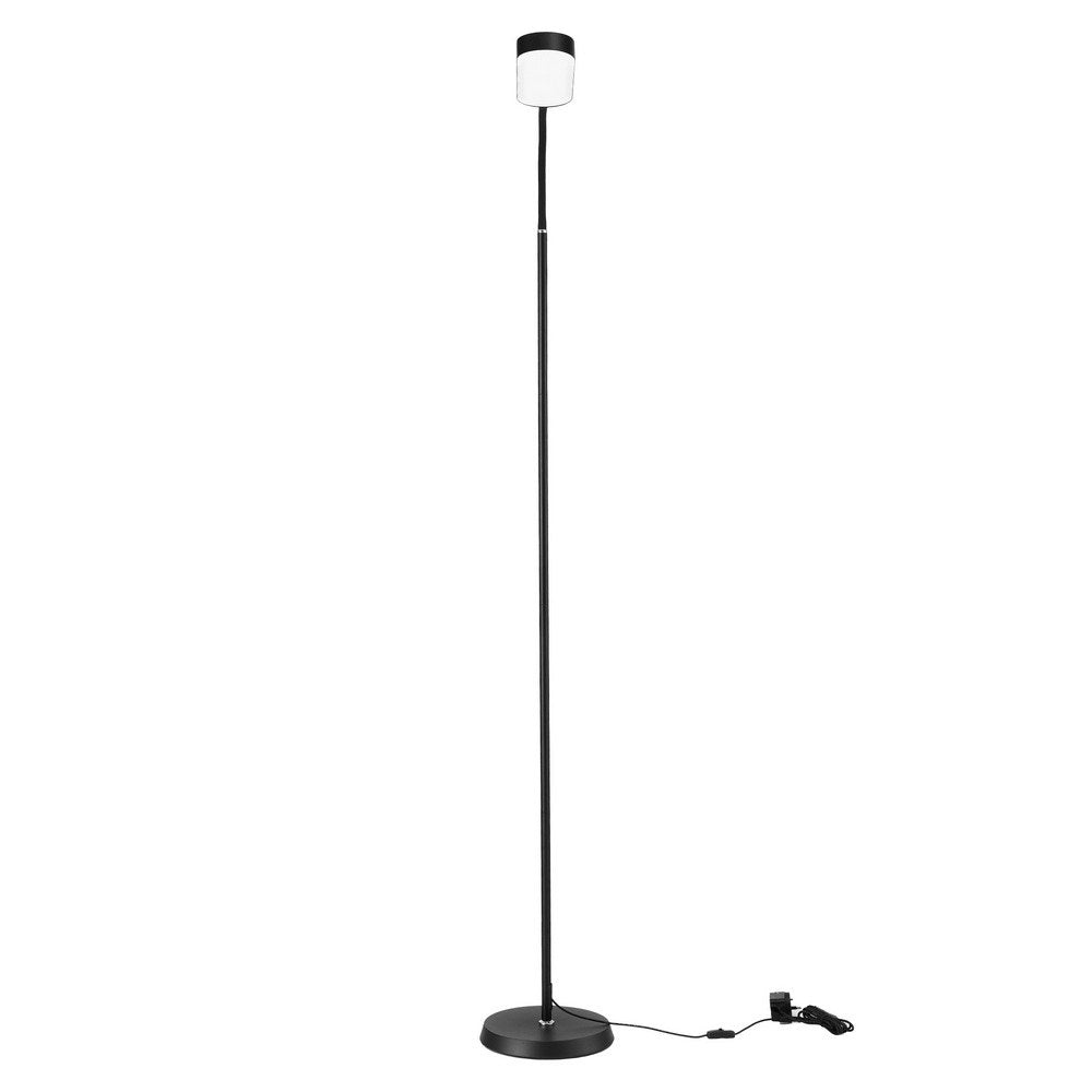 LED Floor Lamp with Remote Control and Adjustable Color Temperature