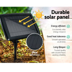 Allure Home Collections 17m Solar Festoon Lights