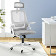 Artiss Ergonomic Office Chair with Adjustable Headrest