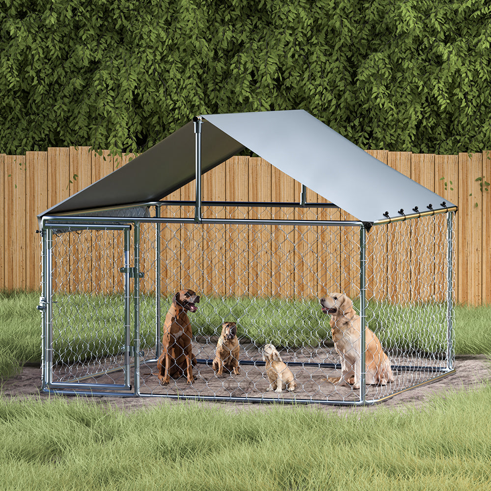 Large Outdoor Dog Kennel with Roof