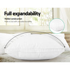 Giselle Bedding Luxury Goose Feather Down Pillow Twin Pack