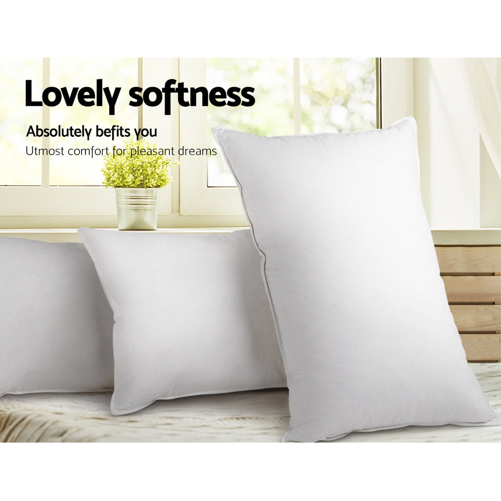 Giselle Bedding Goose Feather Down Pillows - Twin Pack