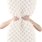 Giselle Bedding Natural Latex Pillow Set