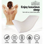 Giselle Bedding 100% Natural Latex Pillow Twin Pack