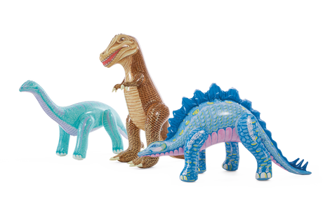 Jurassic Adventure Inflatable Play Center