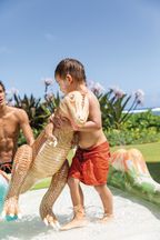 Jurassic Adventure Inflatable Play Center