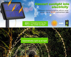 Allure Home Collections 20m 200 LED Solar Lights