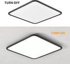 Dimmable LED Flush Mount Ceiling Light