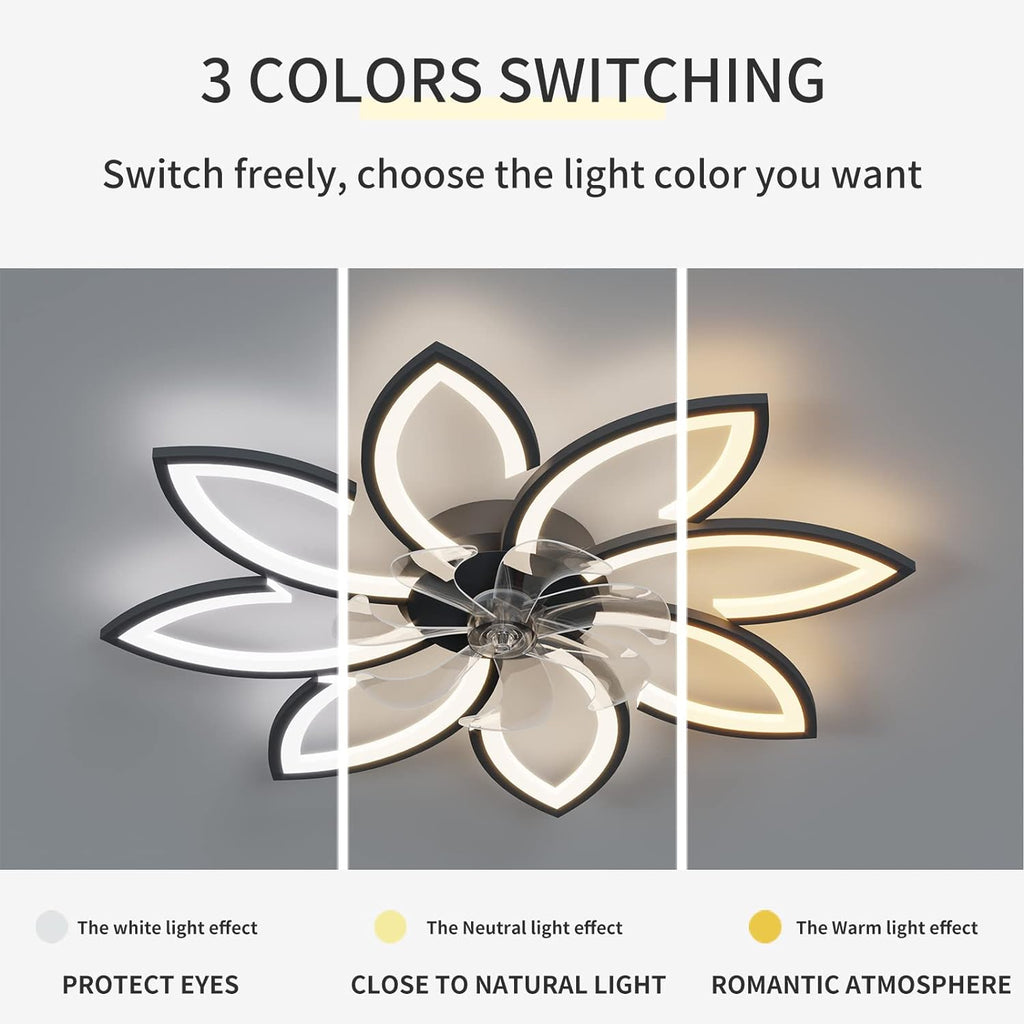 Modern Stylish Ceiling Light Fan with Remote