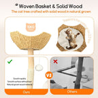 Cat Tree Condo Activity Center Sisal Scratcher Tower