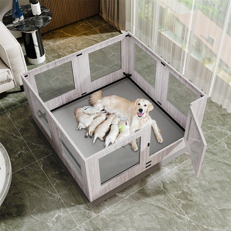Elegant Large Indoor Whelping Box with Glass