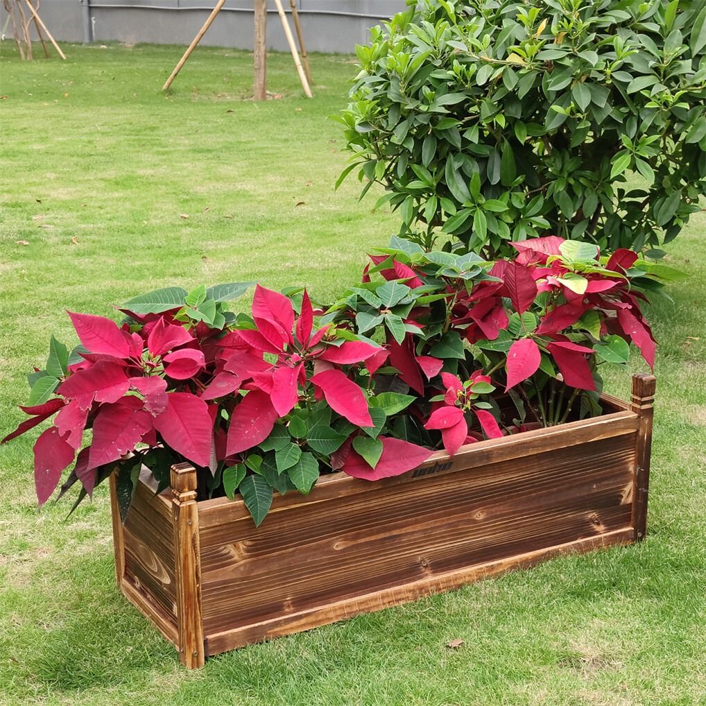 Medium Raised Garden Bed 60x30x33cm Wooden Planter Box