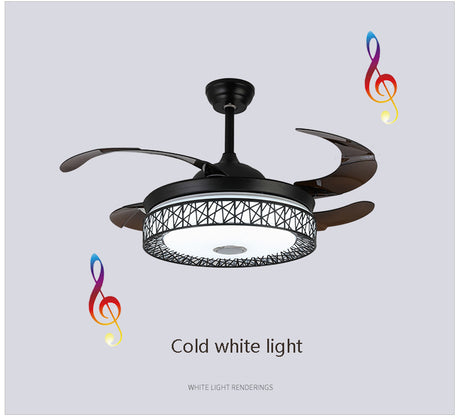 Maxkon 42 Inch Smart Ceiling Fan with Light
