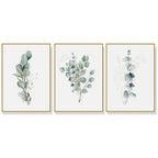 Wall Art Eucalyptus Plant 3 Sets Gold Frame Canvas Home Decorative Gallery Prints