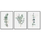 Wall Art Eucalyptus Plant 3 Sets Framed Canvas for Living Room Bedroom Decoration