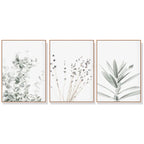 Wall Art Lavender Eucalyptus 3 Sets Wood Frame Canvas Framed Prints Home Decor
