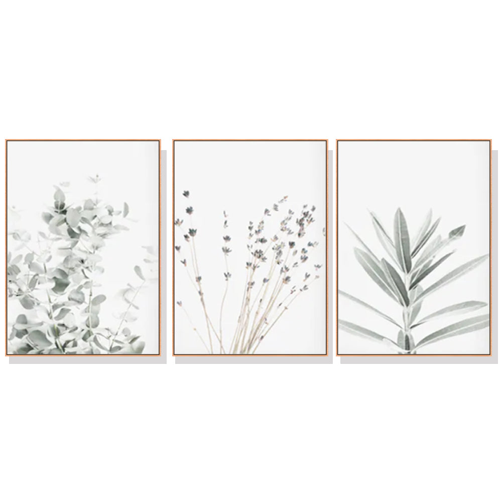 Wall Art Lavender Eucalyptus 3 Sets Wood Frame Canvas Framed Prints Home Decor