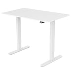 Fortia Motorized Height Adjustable Sit Stand Desk