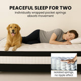 Kingston Slumber RelaxMax 31cm Medium Pocket Spring Mattress