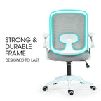 Fortia Ergonomic Coolmesh Office Chair