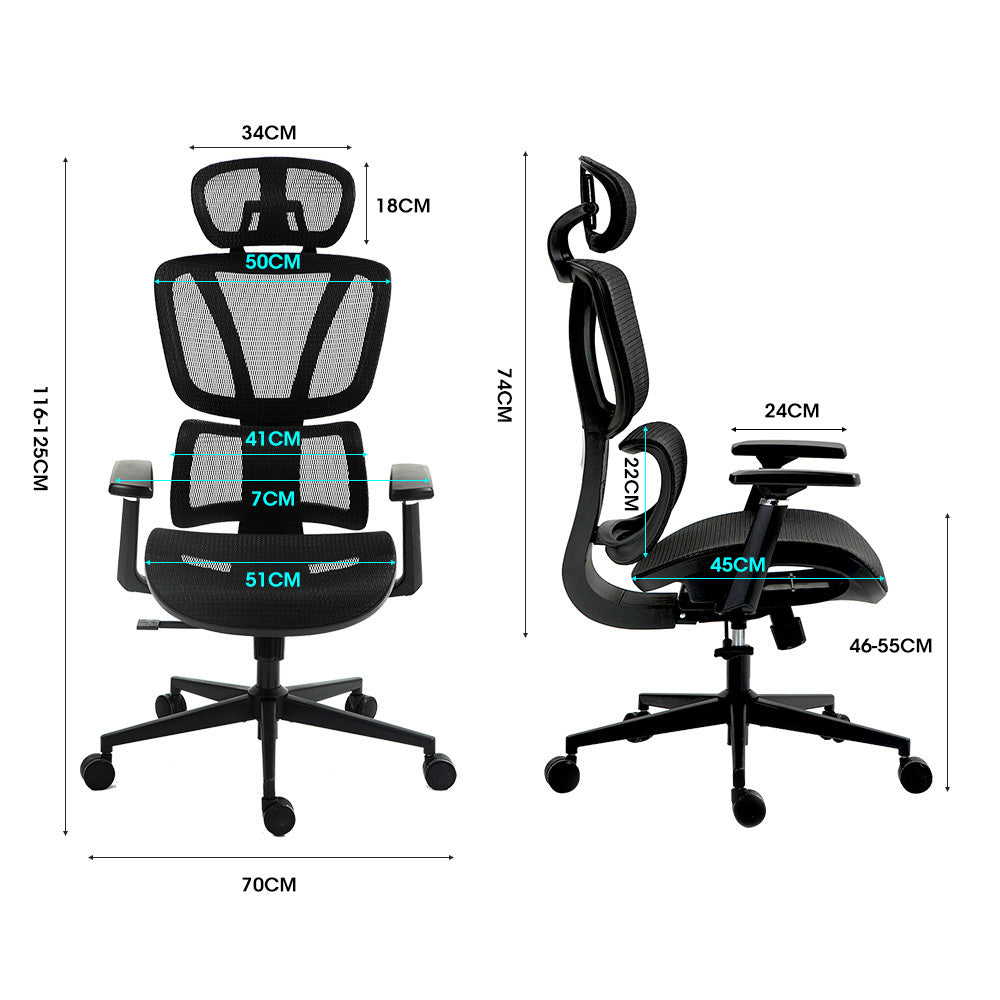 Fortia Ergonomic Office Desk Chair - Black Mesh