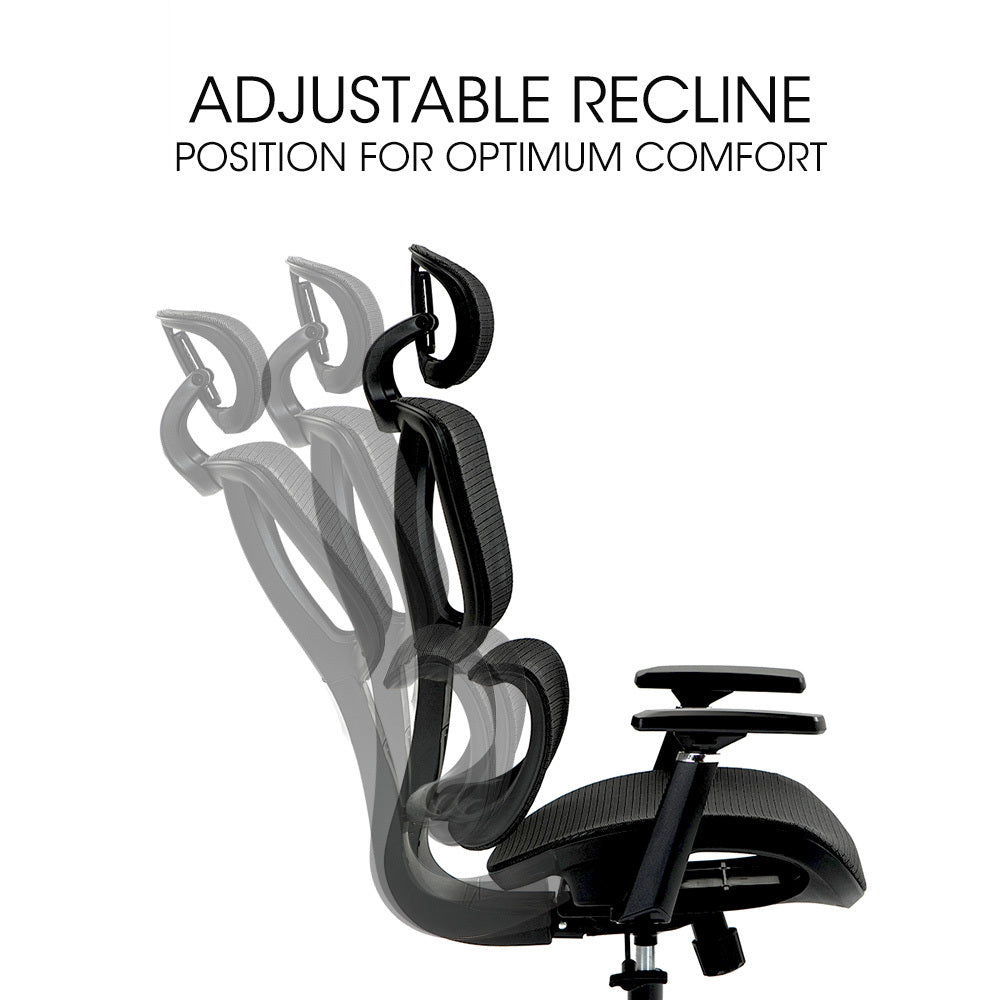 Fortia Ergonomic Office Desk Chair - Black Mesh