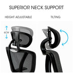 Fortia Ergonomic Office Desk Chair - Black Mesh