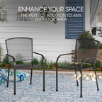 Fortia 2-Piece Outdoor Dining Chair Set