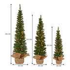 Set of 3 Pre-Lit Christmas Trees with Hessian Bases