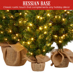 Set of 3 Pre-Lit Christmas Trees with Hessian Bases