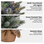 Snowy Stamford Spruce Mini Christmas Tree