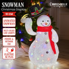 Animated Snowman Christmas Display with LED Lights